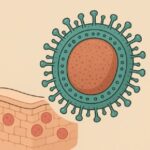 Tratamientos para viruela del mono