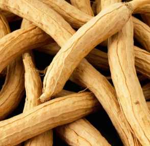 Ginseng, propiedades y beneficios