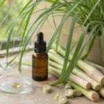 Aceite de Cymbopogon citratus: beneficios y contraindicaciones Aceite esencial de Cymbopogon Citratus