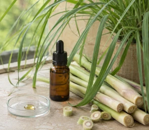Aceite esencial de Cymbopogon Citratus beneficios y usos
