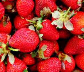 Propiedades medicinales de las Fresas