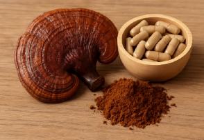 Propiedades medicinales del hongo Reishi