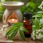 Aceite esencial de Cedrón para la Depresión: beneficios cómo usarlo Aceite de cedron para depresion