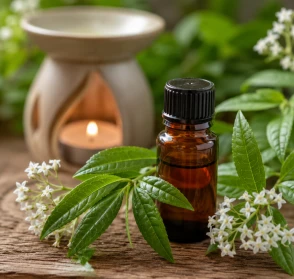 Aceite esencial de Cedrón para la Depresión