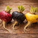 Tipos de Maca por color