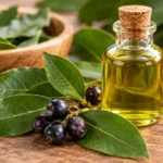 Aceite esencial de laurel