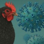 Gripe Aviar H5N1 gripe aviar h5n1