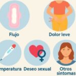 ¿Cómo saber si ovulé? Signos del cuerpo que lo indican Como saber si ovule