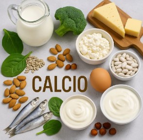 Alimentos ricos en calcio