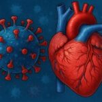 COVID y corazón: síntomas, riesgos y estudios actualizados COVID y corazon