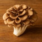 Propiedades del Maitake Propiedades Maitake