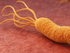 Helicobacter pylori resistente