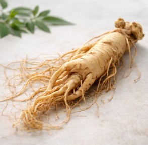 Ginseng: propiedades y beneficios