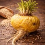 Maca amarilla propiedades