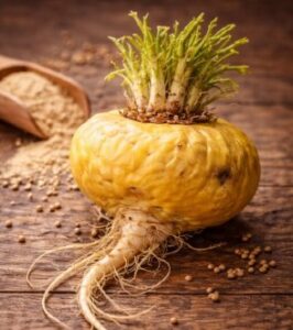 Maca amarilla: propiedades