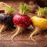Maca estudios cientificos