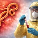 Ebola como se contagia