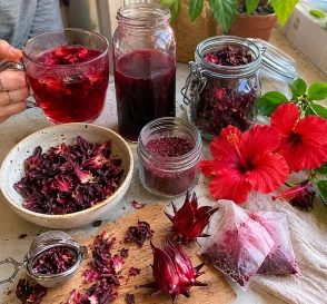 Beneficios del hibisco