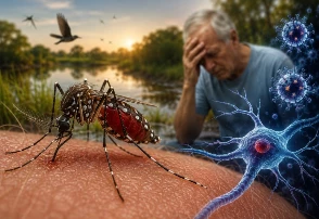 Virus del Nilo Occidental: síntomas y contagio