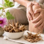 Harpagofito para artritis: beneficios y riesgos Harpagofito para artritis