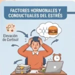 ¿El estrés engorda? Cómo afecta al peso y al abdomen estres y obesidad