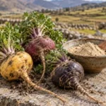 7 beneficios de la maca respaldados por la ciencia 7 beneficios de la maca